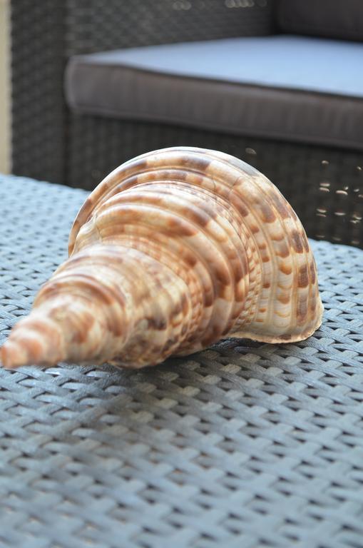 Glífa Ammos Beach المظهر الخارجي الصورة